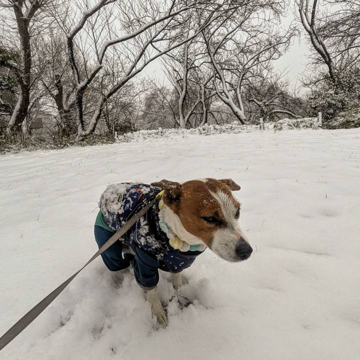 5c618514 695b 4c47 b0ac 5c294d93b52b 1770594164447