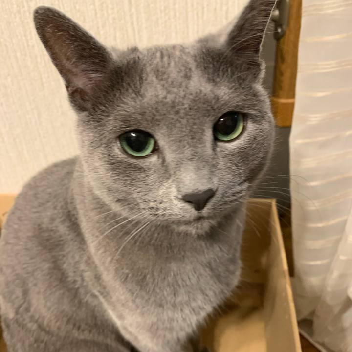 5c619bba 2455 4b47 8514 5ed555fc774c 1585667682336