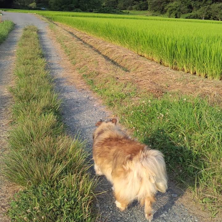 5c61e183 8841 4a7b a448 6eb1881aed22 1574093559599