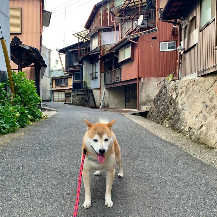 5c61e79c e996 43b2 9621 9f99ca3fd9b8 1653555641354