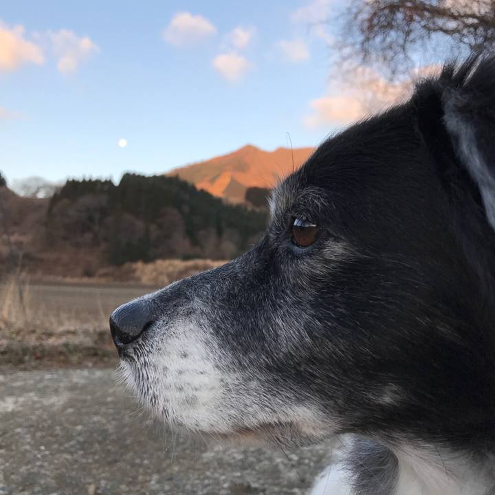 5c61f5ae 9f53 463c bc22 7f3e0767b0cc 1515024574953