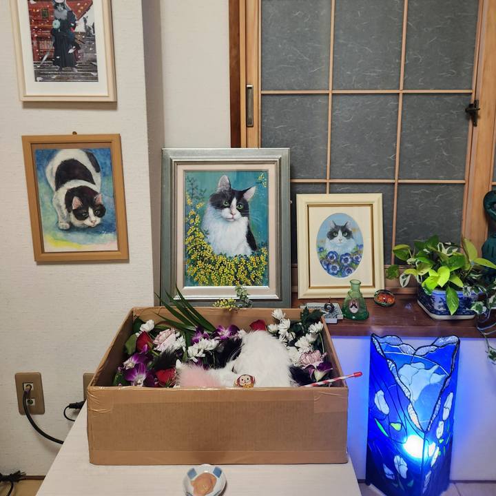 5c61fabd b49a 4652 beb0 a735b030e64c 1736893128313