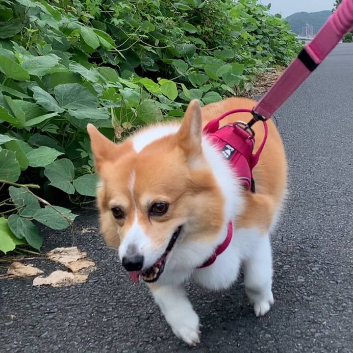 5c620079 4cae 412c a867 df33e18988d9 1661991908780