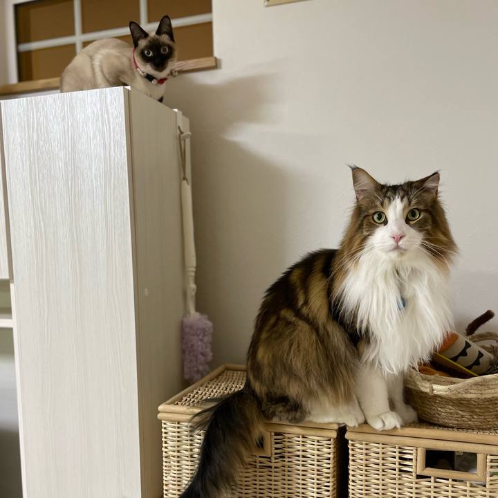 5c620e61 cd35 4fd7 9c04 07bb765c565d 1707334150819