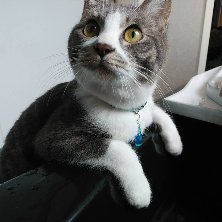 5c622624 64d1 4c61 a972 3a1adfbfc483 1580779986376