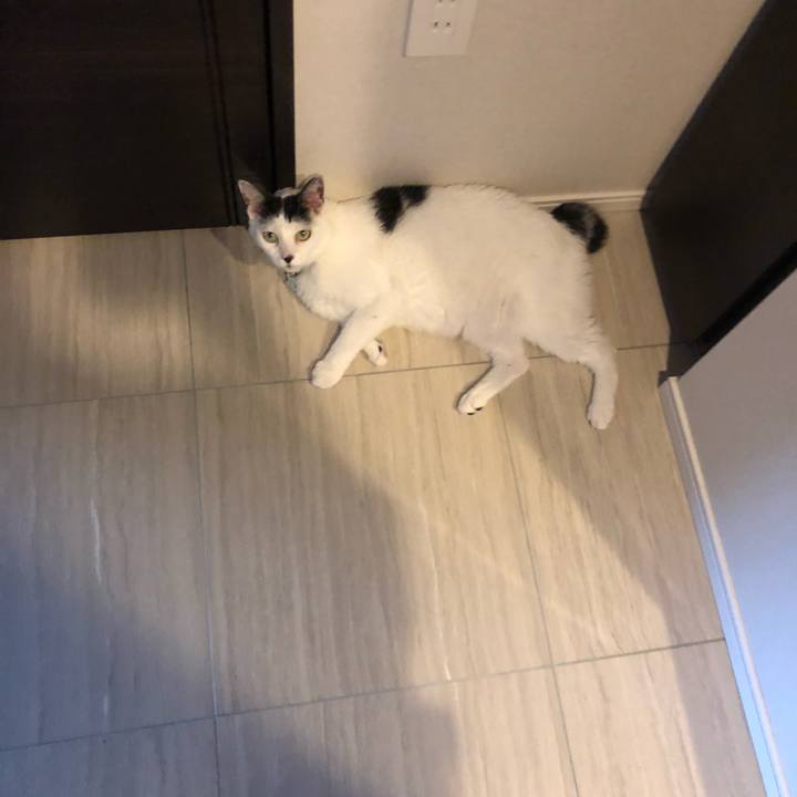 5c622837 5486 4597 8ea8 8d370c20a56a 1535500153904