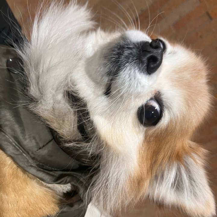 5c6264d5 490f 4ae7 9c5d d37810398c00 1770349804033