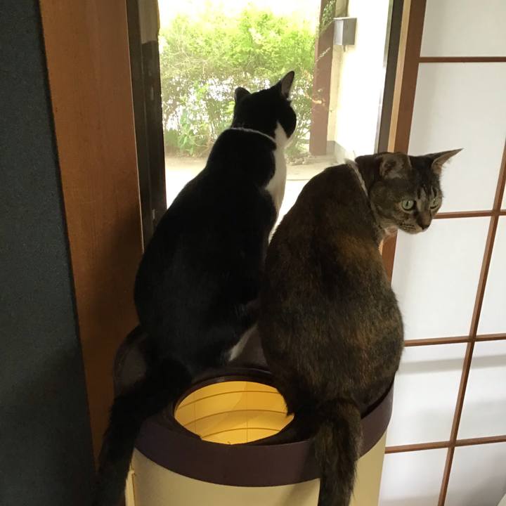 5c626f43 86ed 47a1 b0ce 35ba30a30629 1654664770041