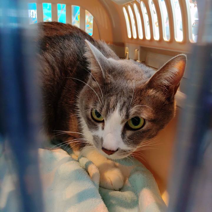 5c627c28 fa37 4b20 bdf2 bbb3857b9cc0 1697848411624