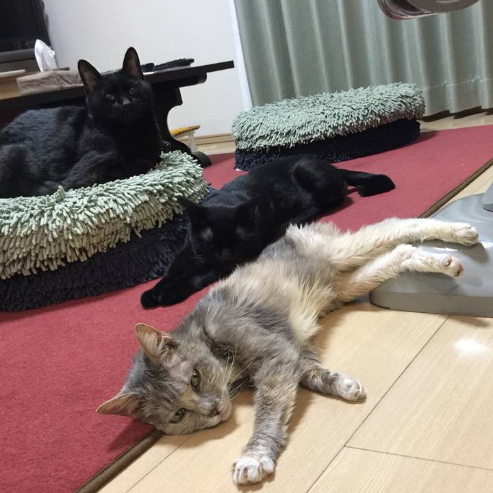 5c62c018 12df 4a20 9f06 e9278e9edafa 1514994805830