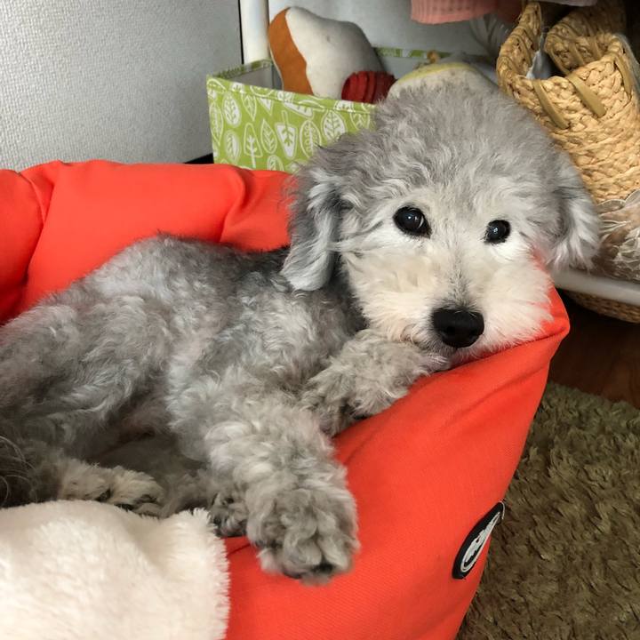 5c62c461 e552 43a1 b4ee 4b8c1110b2ad 1530927056944