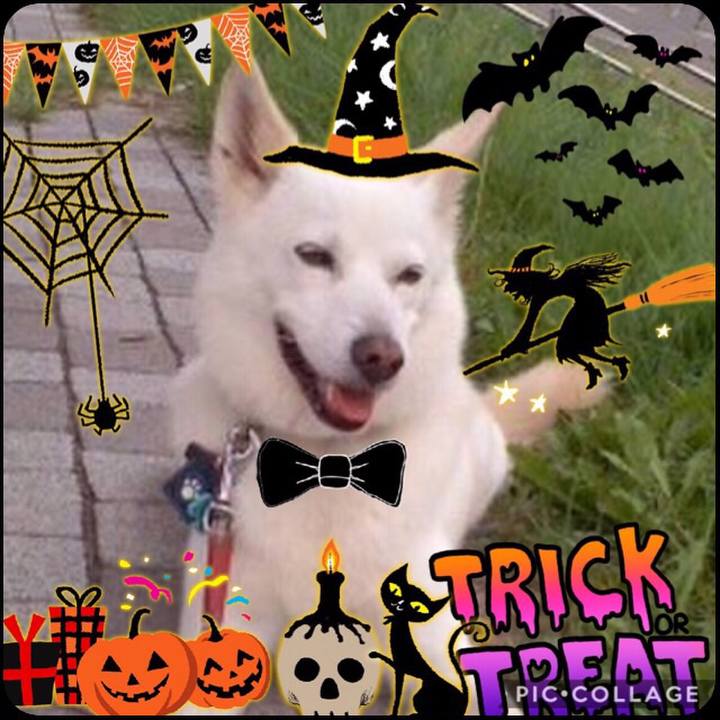 5c631956 b528 49bc 86de e6bb65534c29 1539700020160