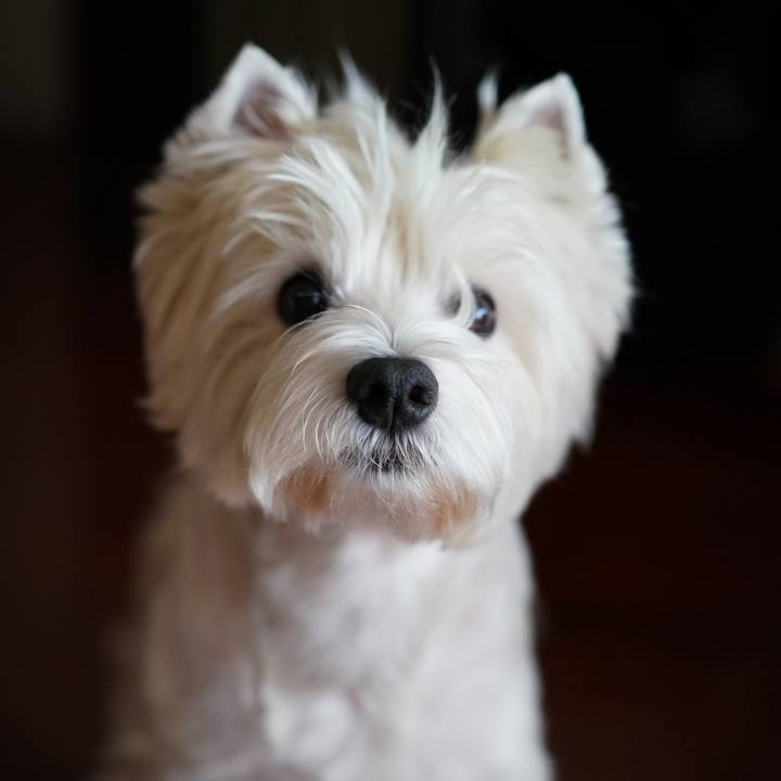 5c631fd0 9a52 4a15 9aa4 fafa110f1270 1535413453043