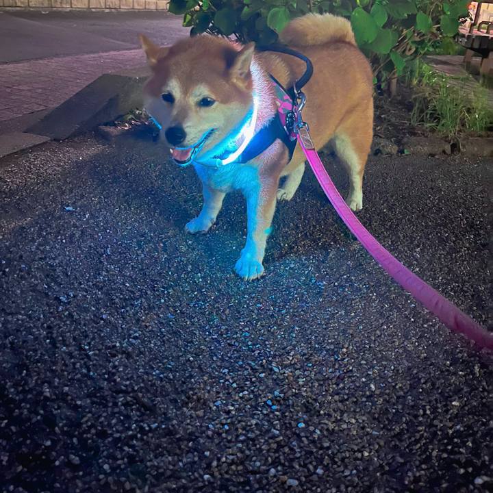 5c632aa1 f746 423a 8206 c350b0832806 1692181134882