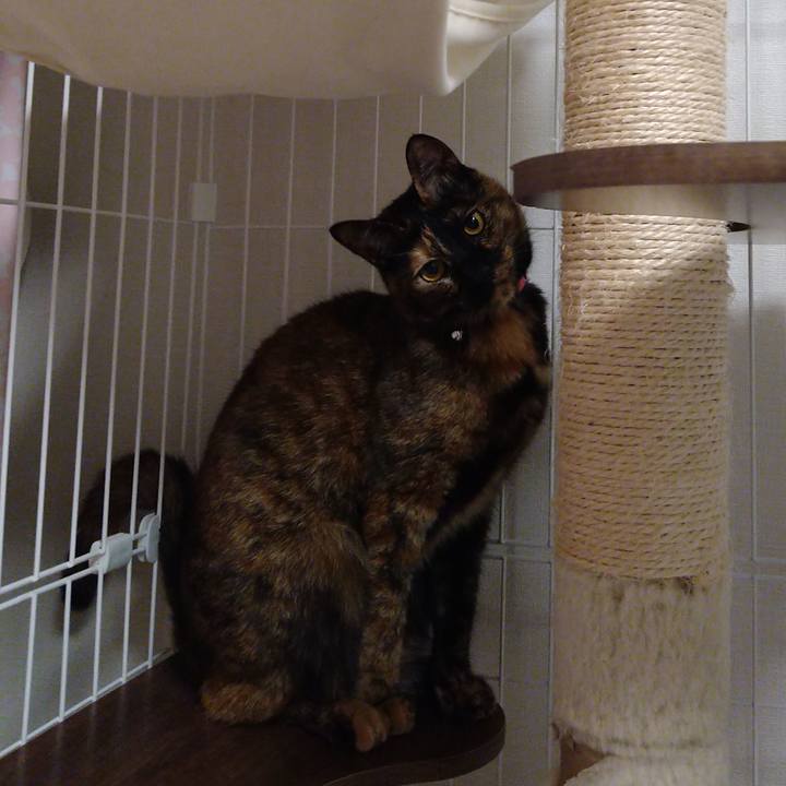 5c63346a e3d2 46f8 afd6 deb4a34c9041 1614073380137