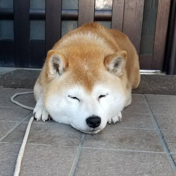 5c634066 05de 4a38 88c1 65d0737681f5 1653694763969