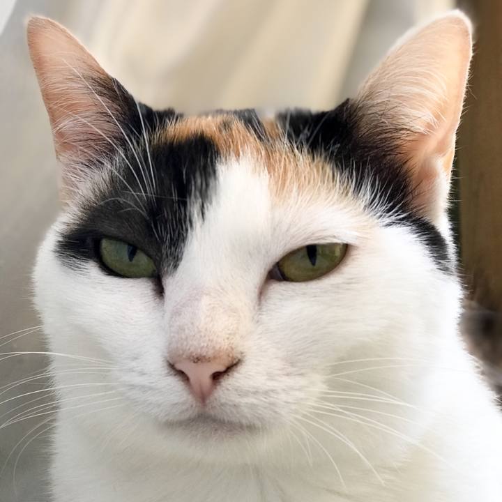 5c63e7ae eb57 4136 bf3c b803f746b260 1531185639846