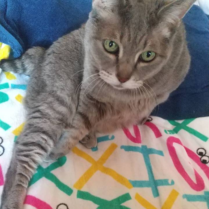 5c640db4 dca0 412c ad23 a74f54d2c476 1642393736705