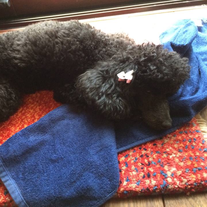 5c644211 dd6f 4bc2 8dce 7b2898715bd4 1533002635069