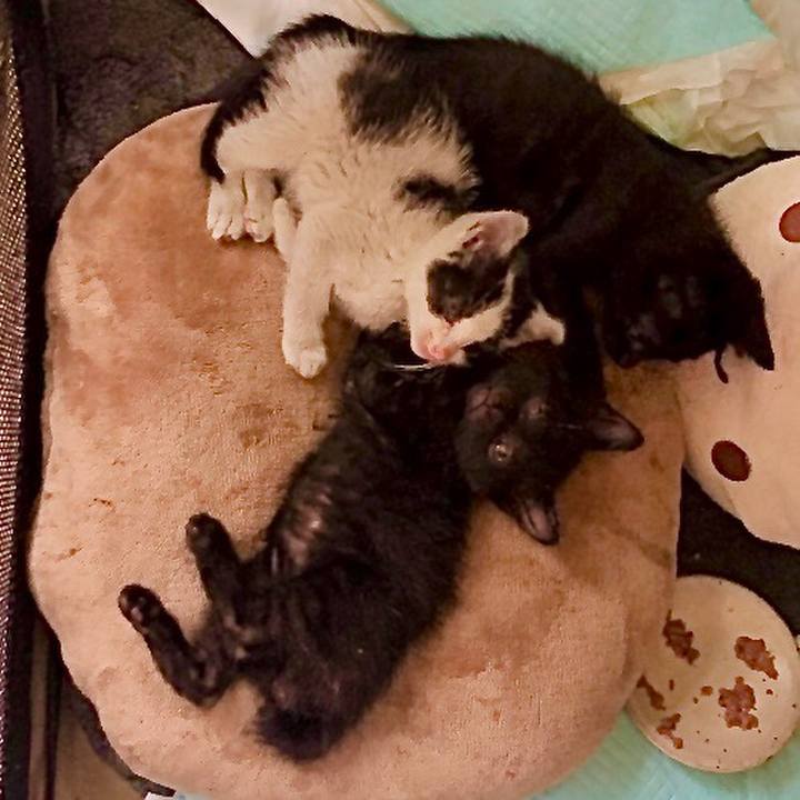 5c64510d 0c9f 42d0 b7d2 de3d308dc88f 1623895872134