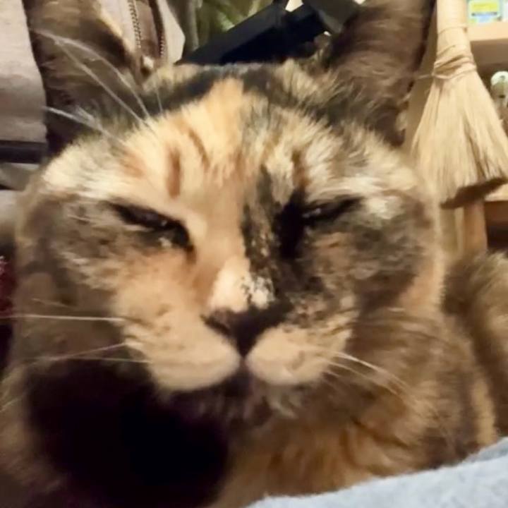 5c6451b0 fb12 41d5 a1c7 fca0a33b0697 1741659421759