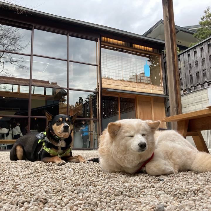 5c646430 d4b6 44bd a250 0f94af875dd6 1679460669752