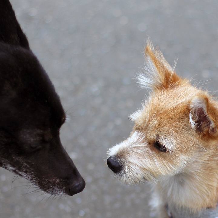 5c64b129 80d2 46f2 aa24 1f8ca01a63ed 1597620241819