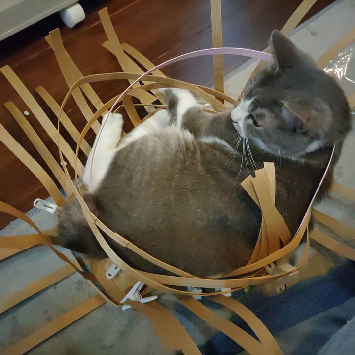 5c64c3d5 b978 43d1 9b26 95e6e567655f 1660392489893