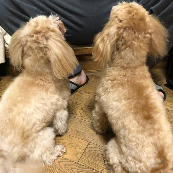 5c64ce58 d819 4144 949b 0f4bab43f2c7 1612100891899