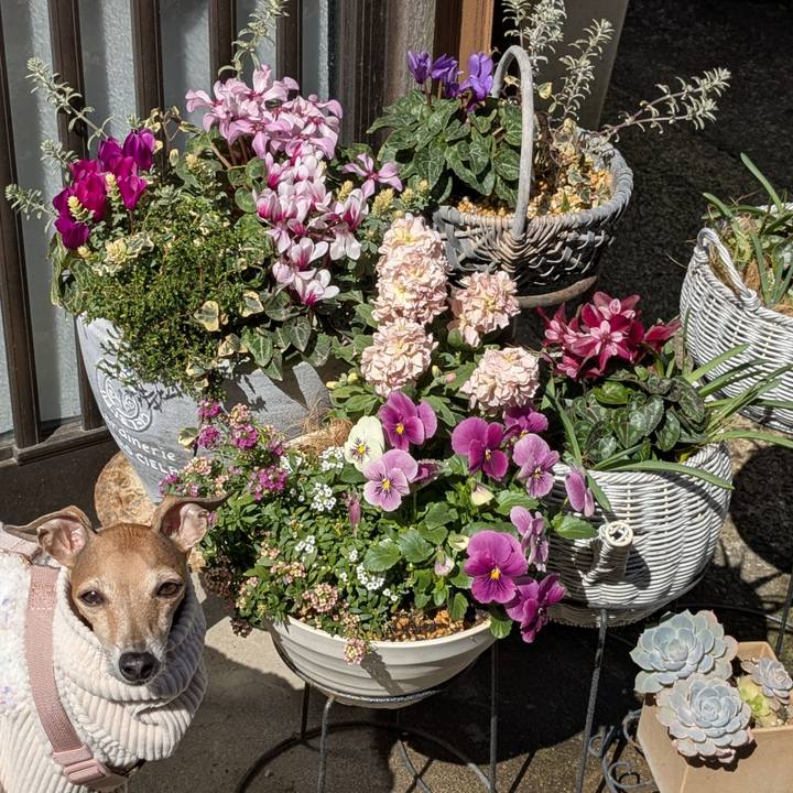 5c64daad fa32 4fc3 98d2 26dfca580b58 1773059514189