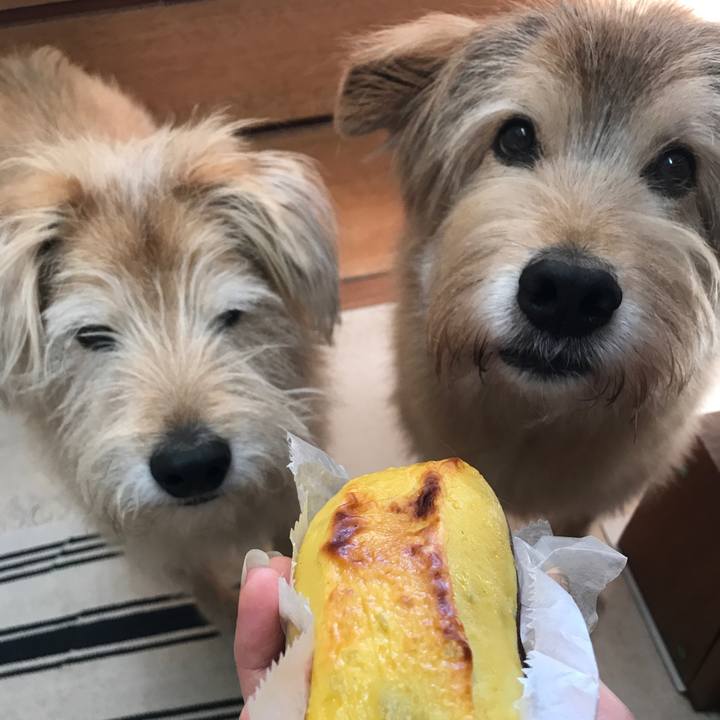 5c6517a3 fb4f 47b4 a805 8ce2ee498b78 1608768877689