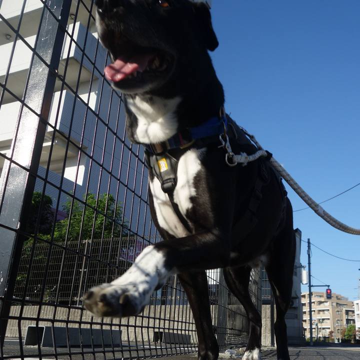 5c65406d af73 48fe aef8 b30a69bb7854 1664672515243