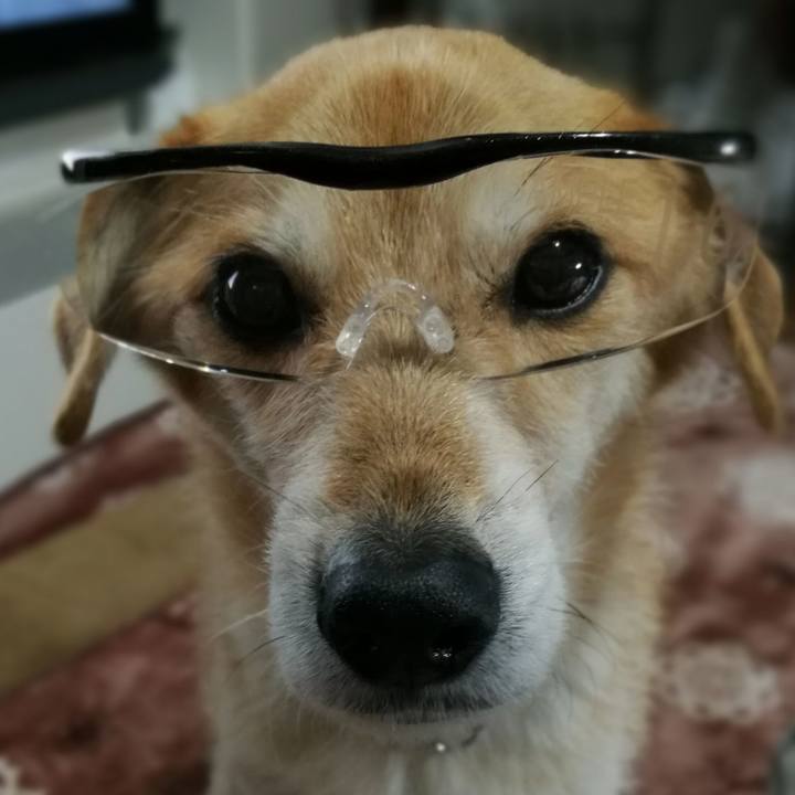 5c655a02 57fd 4b25 8df9 e01297a99ae5 1519376460420