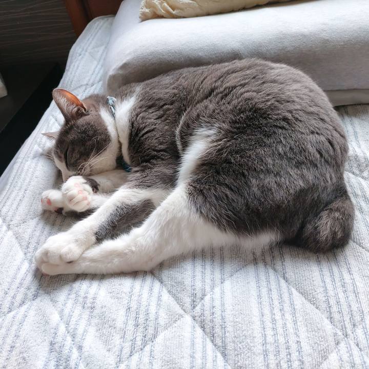 5c659f88 c89f 4b40 a7f5 e177b8e734f6 1715124802983