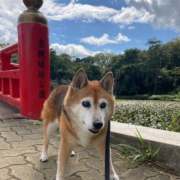 5c65a13e 83df 4a98 a049 c9b12a41044a 1727069439097