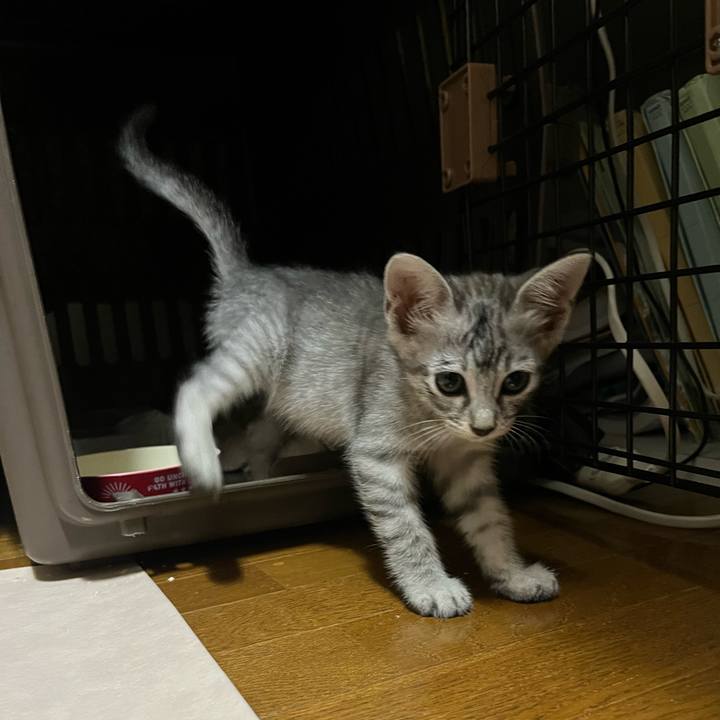 5c65a95e 2124 4d3f 8c9a d388609d70fb 1695332405134