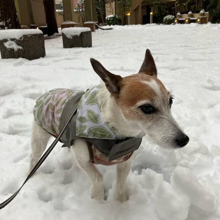 5c65b5a4 c7c1 4f48 b4f8 fb43efe34b39 1676074279352