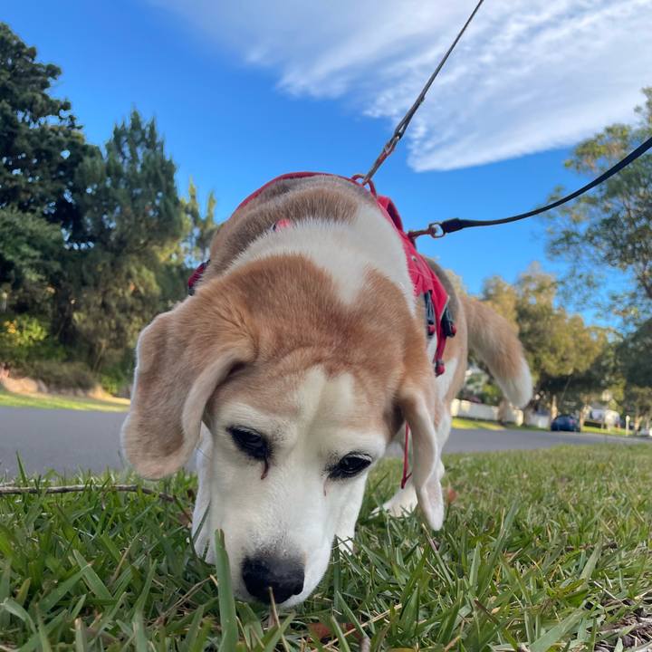 5c65e085 ac7d 45ab 875d d39f924ace12 1783907442143