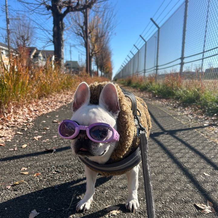 5c65feba d9ba 459d a88e 8ced276e81db 1765106028129