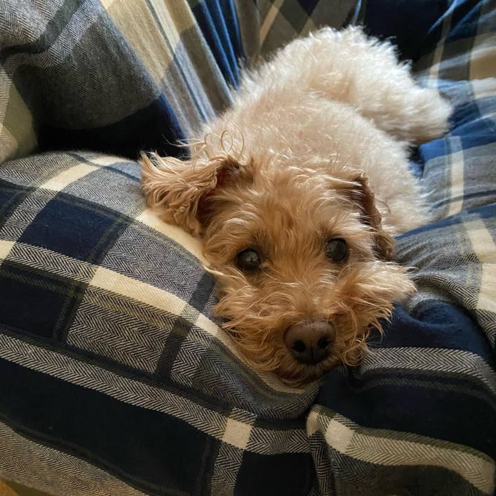 5c660580 4541 4ef0 90ae 94fdd0d2de0c 1681711425283