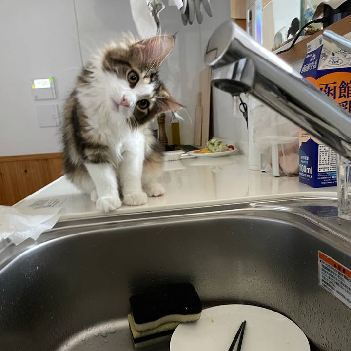 5c660b6e 4733 4a27 86b1 d21161df7dcf 1634506902107