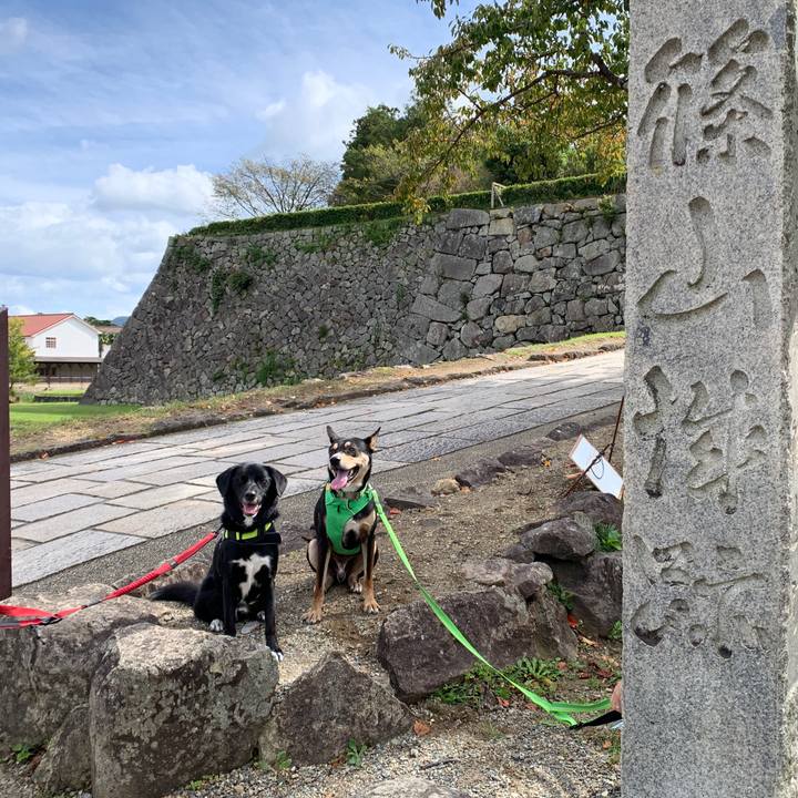 5c660e97 a6be 4e01 ba82 cfac4dc831b8 1571553575063