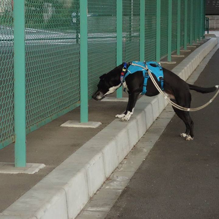 5c661f6d 397e 417c b190 0c027ec691b8 1685963580190