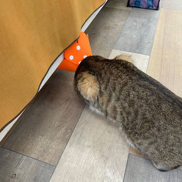 5c662084 4bc9 43d4 8349 360bae07d191 1708302243451