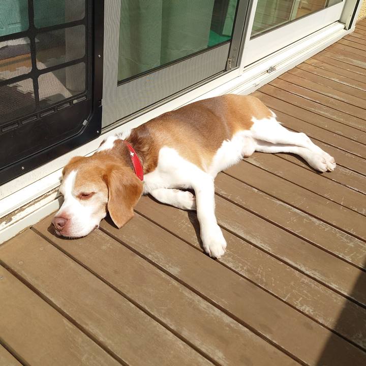 5c6624d2 5858 49a6 84df 2d8672b8be64 1712028655128