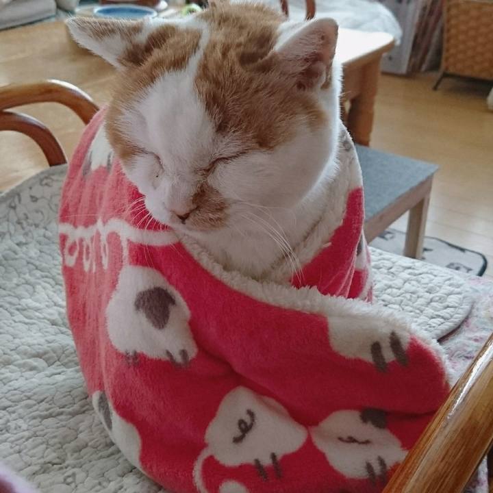 5c6631fb 83cc 45f7 a04f 44faf471e4f5 1582371794405