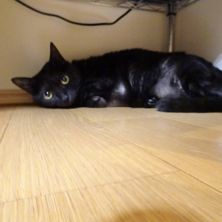 5c66679d 712a 4747 8266 91ea03893db0 1524625870454