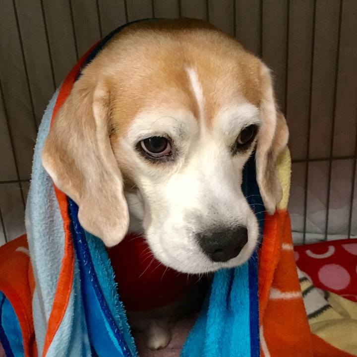 5c66bd2f e80d 4e05 b7aa c649ef739660 1733874246433