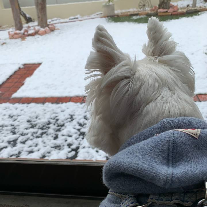 5c67b4a9 3c90 4d8e b358 6007ed4d46a6 1637975608345