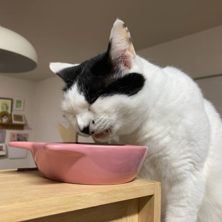 5c67be6f 24ed 44fa bd15 c91b1de3b5b2 1773694389004